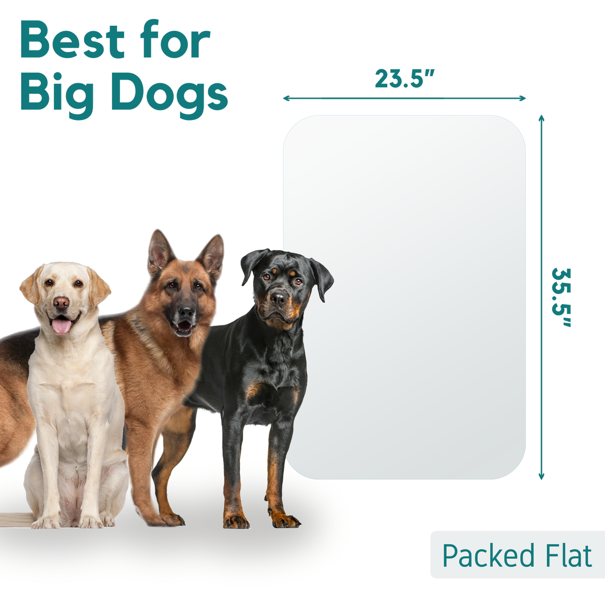 Door Scratch Protector 35.5"x24" Protecto My Protecto