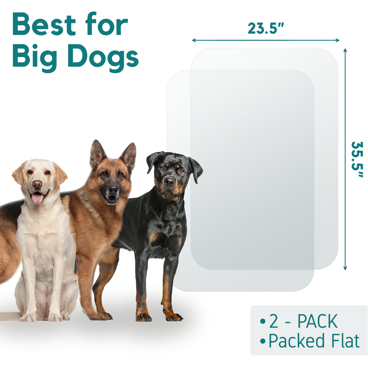 Door Scratch Protector Dog - Best Price in Singapore - Dec 2023