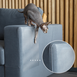 Cat safe couch online