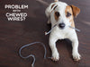 puppy holding chewed cord