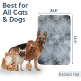 Dogs and cats next to door scratch protector graphic showing size