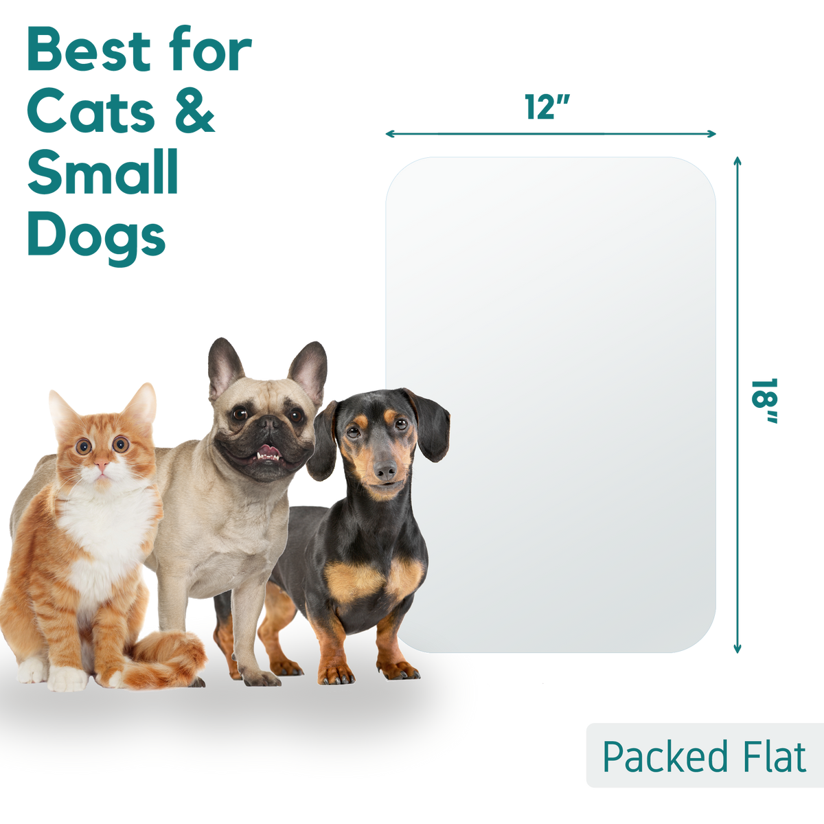 Door Scratch Protector Premium 18"x12" Protecto My Protecto